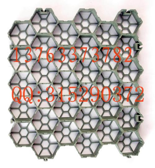 供应凭祥植草格东兴塑料草坪砖