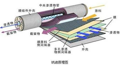 提取玫瑰汁及玫瑰油的方法图片