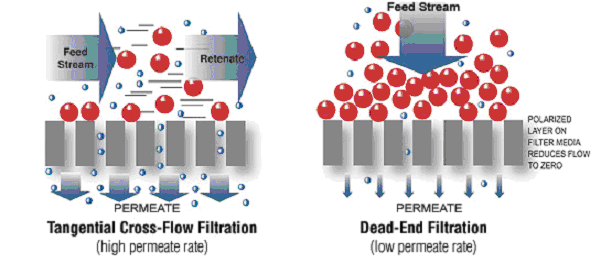 供應(yīng)葡萄籽膜分離系統(tǒng)