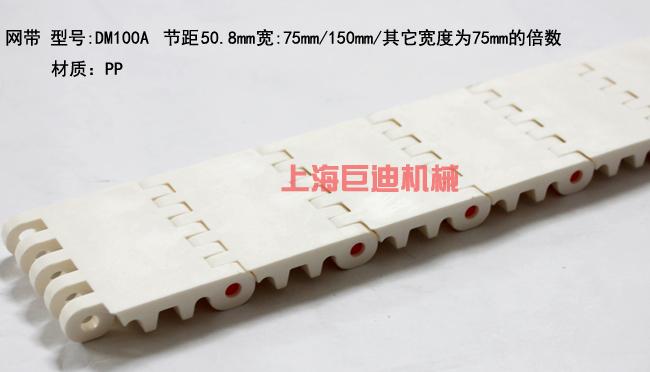 100A網(wǎng)帶圖片