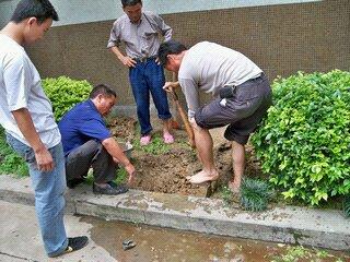 供应户外水管漏水查漏检测