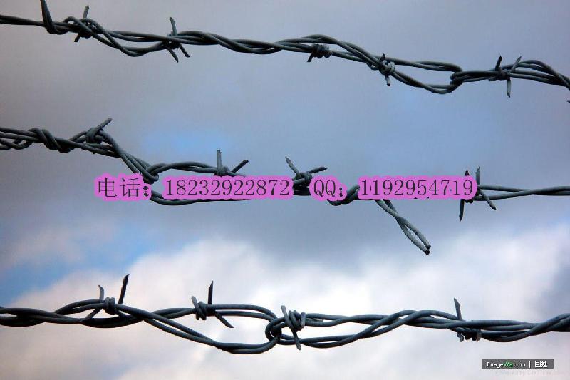 雙股刺繩圖片/雙股刺繩樣板圖 (2)