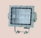 BAT52防爆泛光燈圖片