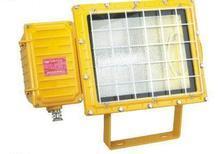 BFC8110防爆泛光燈圖片