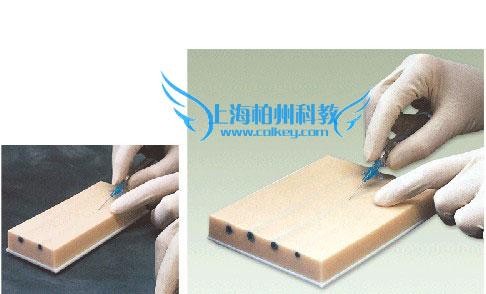 靜脈穿刺模具模擬靜脈穿刺模型圖片