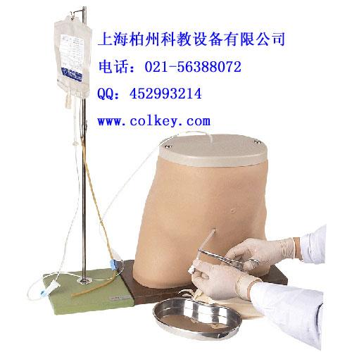 供應(yīng)腹膜透析模型，腹膜模型