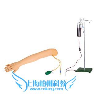 動(dòng)脈穿刺手臂模型圖片