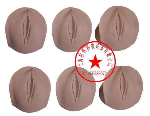 供應(yīng)產(chǎn)前宮頸變化訓(xùn)練模型