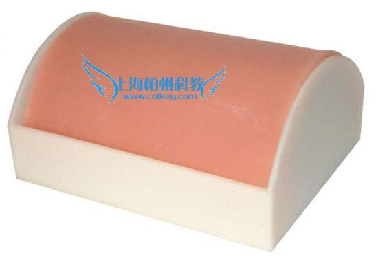 供應多功能肌肉注射模塊