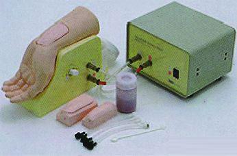 高級(jí)動(dòng)脈穿刺手部模型圖片
