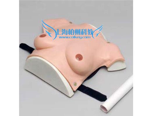 高級(jí)著裝式乳房自檢模型圖片