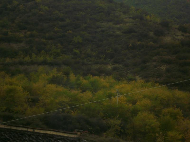 供應(yīng)九寨溝租車(chē)到九寨溝機(jī)場(chǎng)/九寨溝包車(chē)