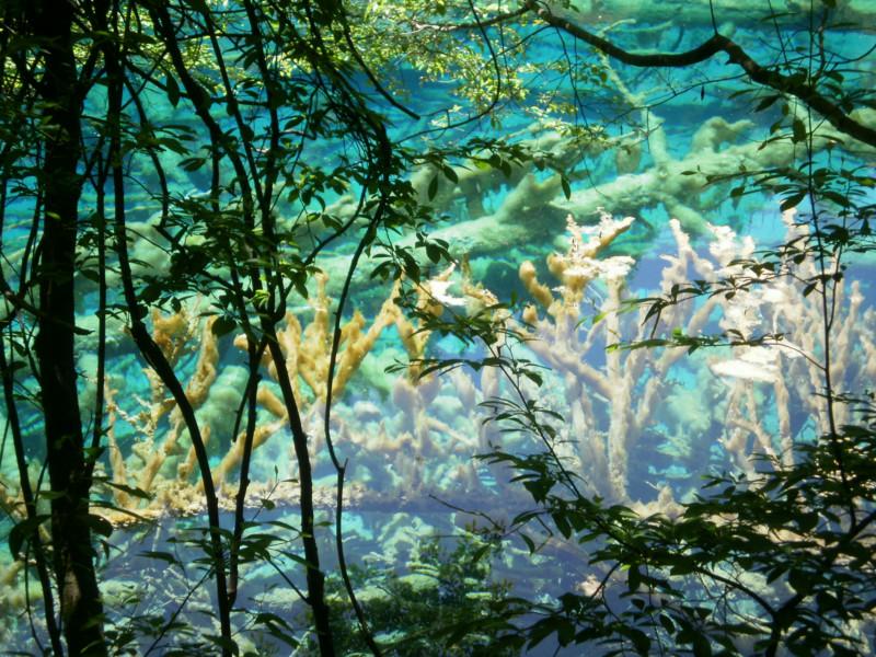 供應(yīng)九寨溝租車(chē)到九寨溝機(jī)場(chǎng)/九寨溝包車(chē)