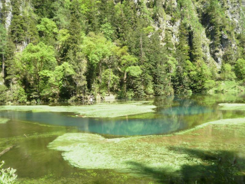供應九寨溝包車推廣九寨溝出租車包車／九寨溝旅游包車