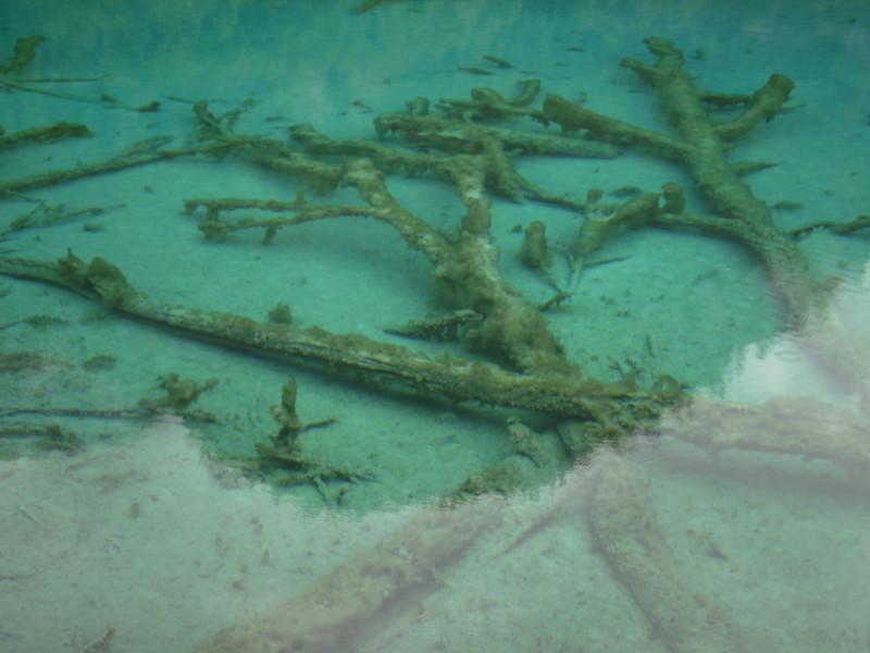 供應(yīng)九黃機(jī)場(chǎng)接機(jī)包車(chē)租車(chē)打車(chē)價(jià)格