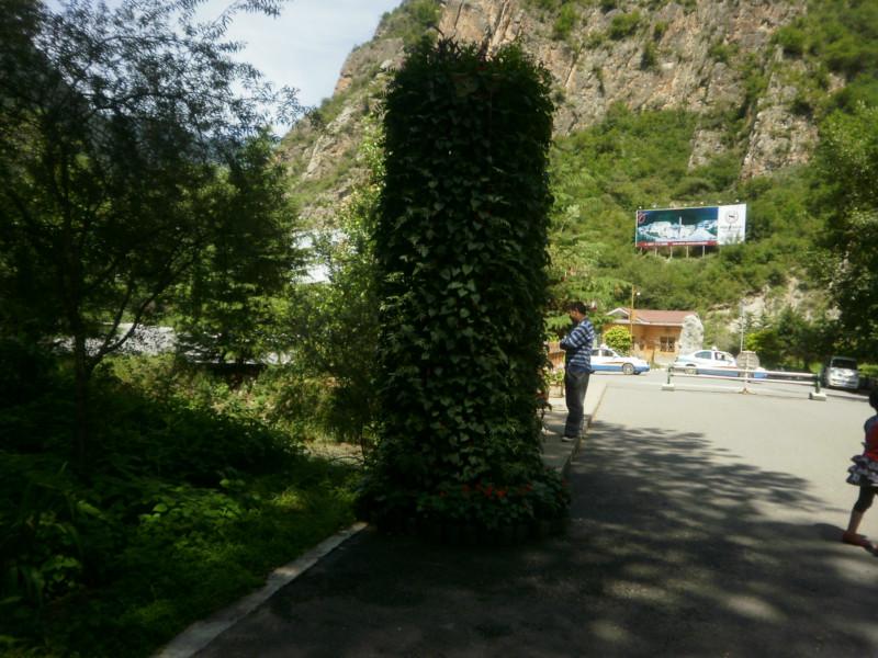 供應九寨溝租車旅游