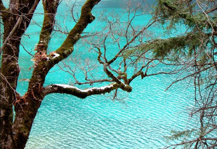 供應(yīng)九寨溝到黃河九曲*彎包車*