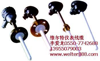 高溫防腐熱電偶熱電阻圖片