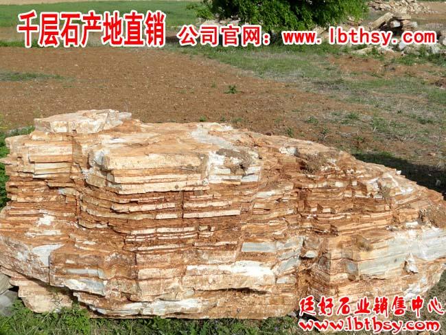 千層石 假山石 龜紋石 園林石 專業(yè)假山設(shè)計 施工