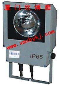 供應湖南省治安卡口抓拍爆閃燈