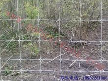 供應(yīng)廠家直銷草原網(wǎng)