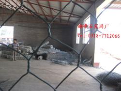 供應六角包膠鐵絲網(wǎng)