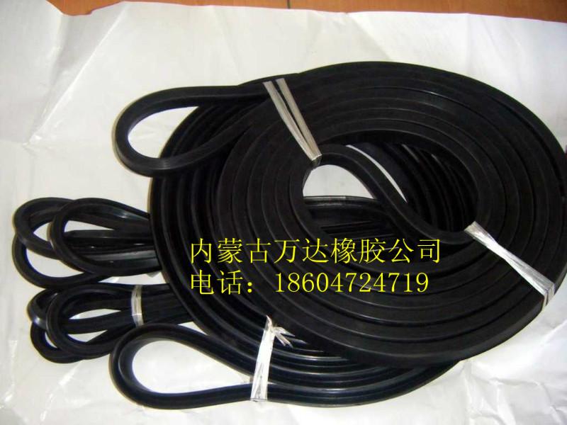 圓形橡膠條圖片/圓形橡膠條樣板圖 (2)