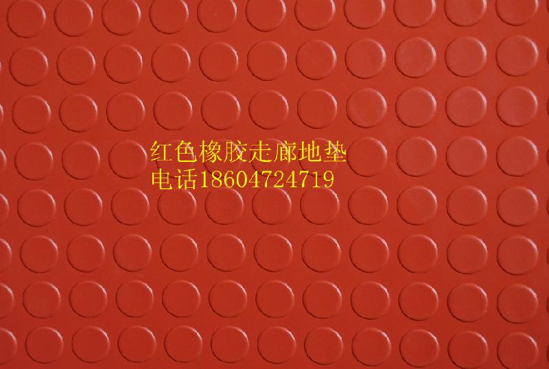 橡膠地墊圖片/橡膠地墊樣板圖 (3)