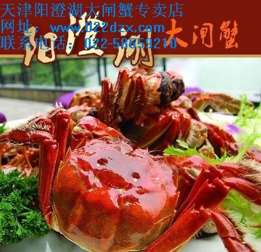 天津阳澄湖大闸蟹连锁门店-佳品堂图片