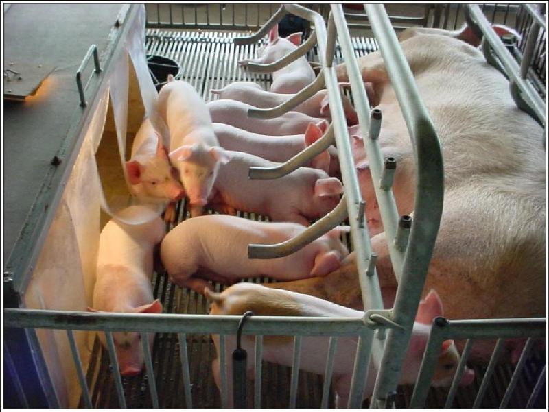 供應(yīng)南陽南召地暖管廠家直銷價格南陽*的PPR管生產(chǎn)廠家凍裂包賠