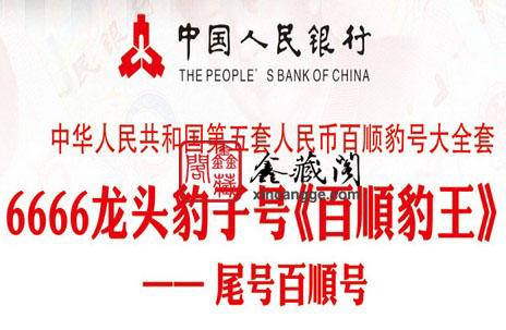 6666龍頭豹子號百順豹王圖片