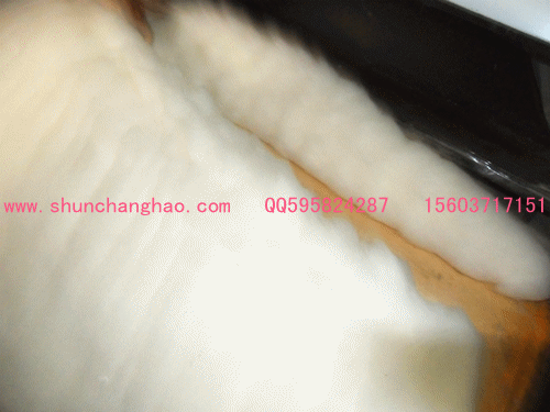 供應(yīng)手工棉花