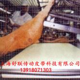 肉类加工输送带，pu食品输送带图片