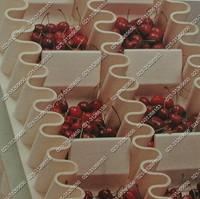 塑料機(jī)械輸送帶，食品輸送帶圖片