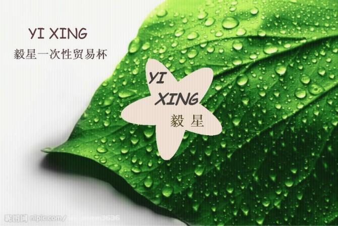 供應(yīng)咖啡杯奶茶杯中空杯雙層杯