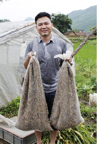 供應(yīng)棉蝗東亞飛蝗竹蟲蜂蛹蟬蛹水蜻蜓11