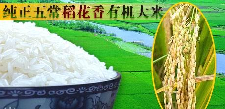 供應(yīng)山東青島五常稻花香總代理