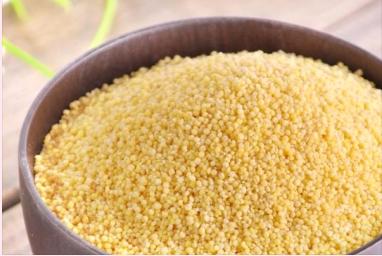 有機(jī)雜糧圖片/有機(jī)雜糧樣板圖 (3)