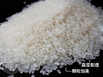 供應(yīng)山東省青島市五常稻花香批發(fā)商