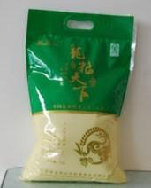 大米龍圖片/大米龍樣板圖 (3)