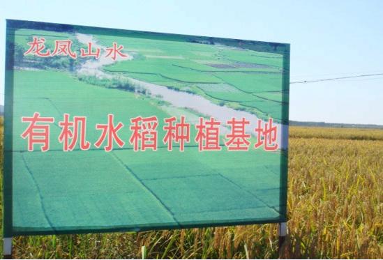 供應(yīng)青島五常稻花香價(jià)格