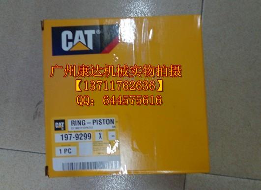 活塞環(huán)圖片/活塞環(huán)樣板圖 (3)
