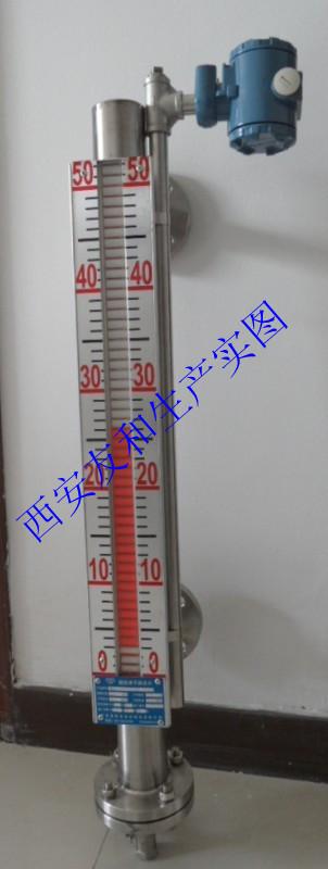 銷售冠軍液位計(jì)廠家圖片
