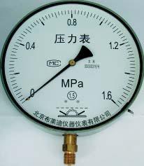 防腐壓力表圖片/防腐壓力表樣板圖 (3)