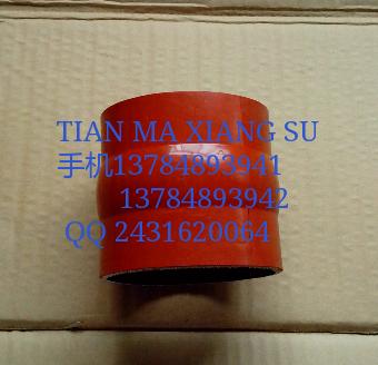 DZ93-2595-35301內(nèi)氟外硅膠管圖片