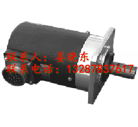 瑞普編碼器圖片/瑞普編碼器樣板圖 (2)