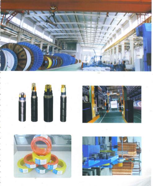 電線和電纜圖片/電線和電纜樣板圖 (2)