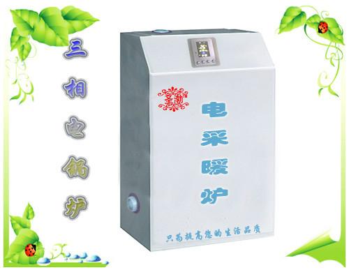 供應(yīng)新電采暖爐