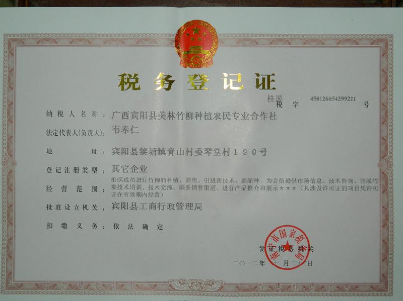 供應(yīng)竹柳*價(jià)2毛每株