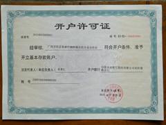 供應(yīng)南寧市竹柳竹柏營(yíng)養(yǎng)杯苗